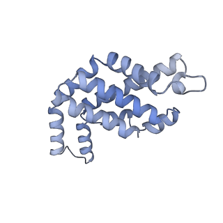 35565_8imi_A_v1-0
A1-A2, A3-A4, B'1-B'2, C'1-C'2 cylinder in cyanobacterial phycobilisome from Anthocerotibacter panamensis (Cluster A)