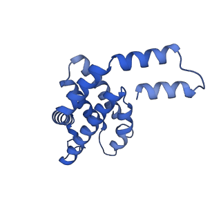 35565_8imi_B_v1-0
A1-A2, A3-A4, B'1-B'2, C'1-C'2 cylinder in cyanobacterial phycobilisome from Anthocerotibacter panamensis (Cluster A)