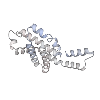 35565_8imi_C_v1-0
A1-A2, A3-A4, B'1-B'2, C'1-C'2 cylinder in cyanobacterial phycobilisome from Anthocerotibacter panamensis (Cluster A)