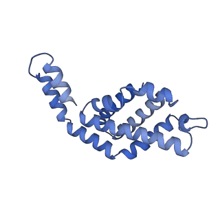 35565_8imi_D_v1-0
A1-A2, A3-A4, B'1-B'2, C'1-C'2 cylinder in cyanobacterial phycobilisome from Anthocerotibacter panamensis (Cluster A)