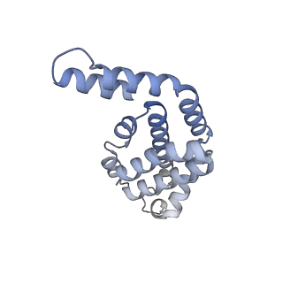 35565_8imi_E_v1-0
A1-A2, A3-A4, B'1-B'2, C'1-C'2 cylinder in cyanobacterial phycobilisome from Anthocerotibacter panamensis (Cluster A)