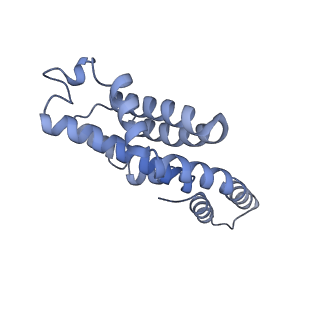 35565_8imi_G_v1-0
A1-A2, A3-A4, B'1-B'2, C'1-C'2 cylinder in cyanobacterial phycobilisome from Anthocerotibacter panamensis (Cluster A)