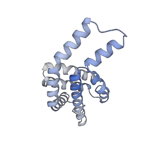35565_8imi_H_v1-0
A1-A2, A3-A4, B'1-B'2, C'1-C'2 cylinder in cyanobacterial phycobilisome from Anthocerotibacter panamensis (Cluster A)