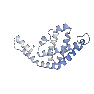 35565_8imi_I_v1-0
A1-A2, A3-A4, B'1-B'2, C'1-C'2 cylinder in cyanobacterial phycobilisome from Anthocerotibacter panamensis (Cluster A)