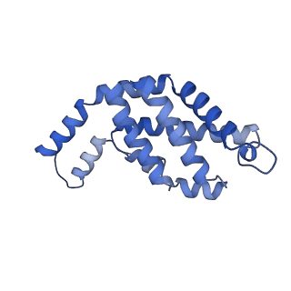 35565_8imi_J_v1-0
A1-A2, A3-A4, B'1-B'2, C'1-C'2 cylinder in cyanobacterial phycobilisome from Anthocerotibacter panamensis (Cluster A)