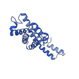35565_8imi_K_v1-0
A1-A2, A3-A4, B'1-B'2, C'1-C'2 cylinder in cyanobacterial phycobilisome from Anthocerotibacter panamensis (Cluster A)