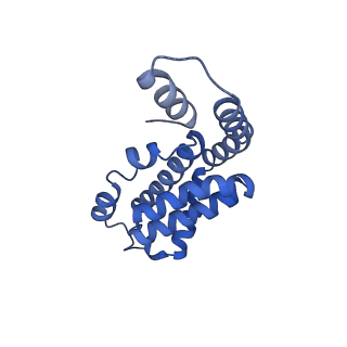 35565_8imi_L_v1-0
A1-A2, A3-A4, B'1-B'2, C'1-C'2 cylinder in cyanobacterial phycobilisome from Anthocerotibacter panamensis (Cluster A)