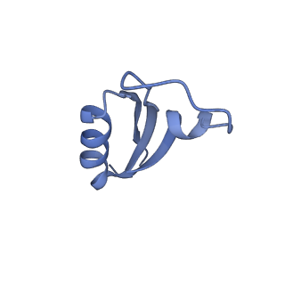 35565_8imi_M_v1-0
A1-A2, A3-A4, B'1-B'2, C'1-C'2 cylinder in cyanobacterial phycobilisome from Anthocerotibacter panamensis (Cluster A)