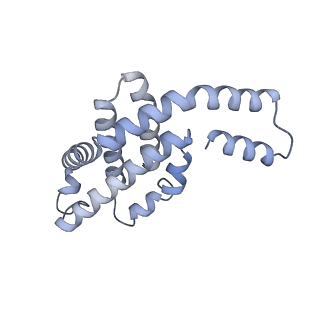 35565_8imi_N_v1-0
A1-A2, A3-A4, B'1-B'2, C'1-C'2 cylinder in cyanobacterial phycobilisome from Anthocerotibacter panamensis (Cluster A)