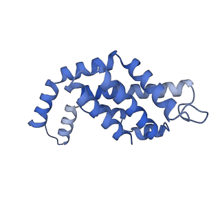 35565_8imi_O_v1-0
A1-A2, A3-A4, B'1-B'2, C'1-C'2 cylinder in cyanobacterial phycobilisome from Anthocerotibacter panamensis (Cluster A)