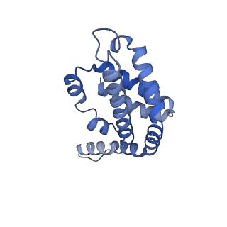 35565_8imi_P_v1-0
A1-A2, A3-A4, B'1-B'2, C'1-C'2 cylinder in cyanobacterial phycobilisome from Anthocerotibacter panamensis (Cluster A)