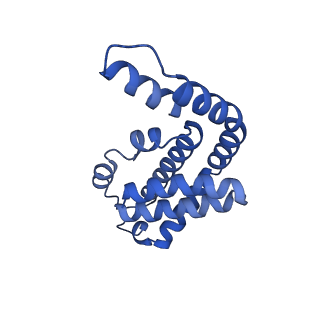35565_8imi_Q_v1-0
A1-A2, A3-A4, B'1-B'2, C'1-C'2 cylinder in cyanobacterial phycobilisome from Anthocerotibacter panamensis (Cluster A)