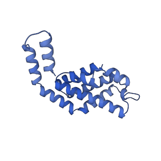 35565_8imi_R_v1-0
A1-A2, A3-A4, B'1-B'2, C'1-C'2 cylinder in cyanobacterial phycobilisome from Anthocerotibacter panamensis (Cluster A)
