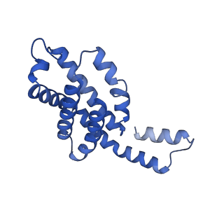35565_8imi_S_v1-0
A1-A2, A3-A4, B'1-B'2, C'1-C'2 cylinder in cyanobacterial phycobilisome from Anthocerotibacter panamensis (Cluster A)