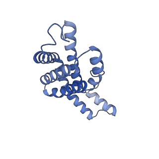 35565_8imi_T_v1-0
A1-A2, A3-A4, B'1-B'2, C'1-C'2 cylinder in cyanobacterial phycobilisome from Anthocerotibacter panamensis (Cluster A)