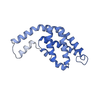 35565_8imi_U_v1-0
A1-A2, A3-A4, B'1-B'2, C'1-C'2 cylinder in cyanobacterial phycobilisome from Anthocerotibacter panamensis (Cluster A)