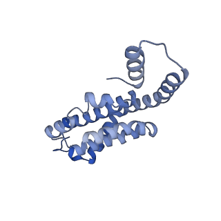 35565_8imi_V_v1-0
A1-A2, A3-A4, B'1-B'2, C'1-C'2 cylinder in cyanobacterial phycobilisome from Anthocerotibacter panamensis (Cluster A)
