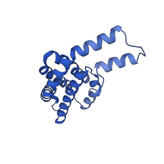 35565_8imi_W_v1-0
A1-A2, A3-A4, B'1-B'2, C'1-C'2 cylinder in cyanobacterial phycobilisome from Anthocerotibacter panamensis (Cluster A)