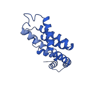 35565_8imi_X_v1-0
A1-A2, A3-A4, B'1-B'2, C'1-C'2 cylinder in cyanobacterial phycobilisome from Anthocerotibacter panamensis (Cluster A)