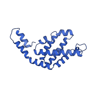 35565_8imi_Y_v1-0
A1-A2, A3-A4, B'1-B'2, C'1-C'2 cylinder in cyanobacterial phycobilisome from Anthocerotibacter panamensis (Cluster A)
