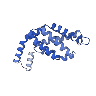 35565_8imi_a_v1-0
A1-A2, A3-A4, B'1-B'2, C'1-C'2 cylinder in cyanobacterial phycobilisome from Anthocerotibacter panamensis (Cluster A)