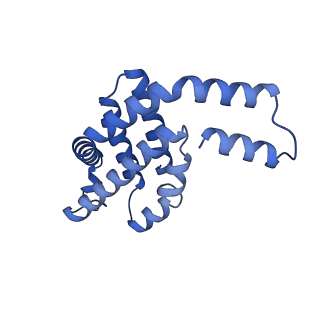 35565_8imi_b_v1-0
A1-A2, A3-A4, B'1-B'2, C'1-C'2 cylinder in cyanobacterial phycobilisome from Anthocerotibacter panamensis (Cluster A)