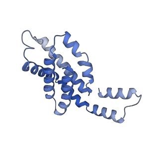 35565_8imi_c_v1-0
A1-A2, A3-A4, B'1-B'2, C'1-C'2 cylinder in cyanobacterial phycobilisome from Anthocerotibacter panamensis (Cluster A)