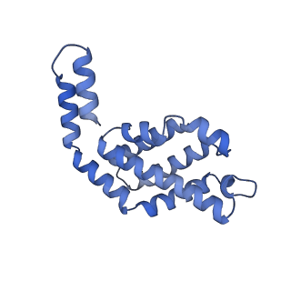 35565_8imi_d_v1-0
A1-A2, A3-A4, B'1-B'2, C'1-C'2 cylinder in cyanobacterial phycobilisome from Anthocerotibacter panamensis (Cluster A)