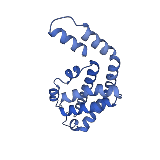 35565_8imi_e_v1-0
A1-A2, A3-A4, B'1-B'2, C'1-C'2 cylinder in cyanobacterial phycobilisome from Anthocerotibacter panamensis (Cluster A)