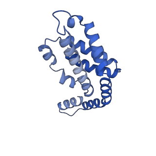35565_8imi_f_v1-0
A1-A2, A3-A4, B'1-B'2, C'1-C'2 cylinder in cyanobacterial phycobilisome from Anthocerotibacter panamensis (Cluster A)