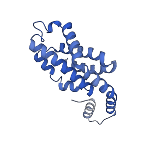 35565_8imi_g_v1-0
A1-A2, A3-A4, B'1-B'2, C'1-C'2 cylinder in cyanobacterial phycobilisome from Anthocerotibacter panamensis (Cluster A)
