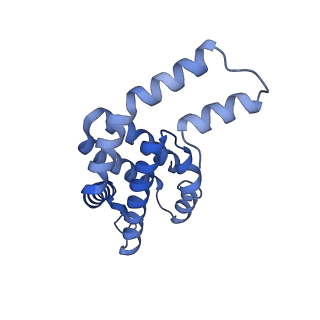 35565_8imi_h_v1-0
A1-A2, A3-A4, B'1-B'2, C'1-C'2 cylinder in cyanobacterial phycobilisome from Anthocerotibacter panamensis (Cluster A)