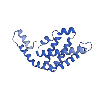 35565_8imi_i_v1-0
A1-A2, A3-A4, B'1-B'2, C'1-C'2 cylinder in cyanobacterial phycobilisome from Anthocerotibacter panamensis (Cluster A)