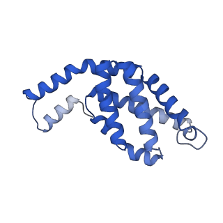 35565_8imi_j_v1-0
A1-A2, A3-A4, B'1-B'2, C'1-C'2 cylinder in cyanobacterial phycobilisome from Anthocerotibacter panamensis (Cluster A)