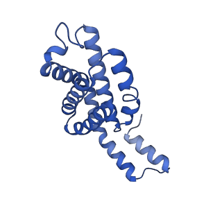 35565_8imi_k_v1-0
A1-A2, A3-A4, B'1-B'2, C'1-C'2 cylinder in cyanobacterial phycobilisome from Anthocerotibacter panamensis (Cluster A)