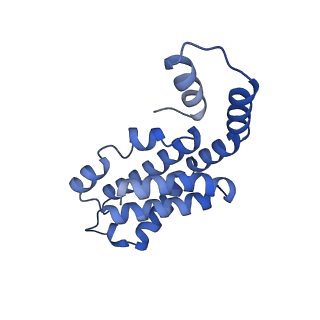 35565_8imi_l_v1-0
A1-A2, A3-A4, B'1-B'2, C'1-C'2 cylinder in cyanobacterial phycobilisome from Anthocerotibacter panamensis (Cluster A)