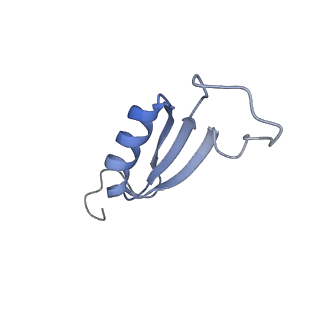 35565_8imi_m_v1-0
A1-A2, A3-A4, B'1-B'2, C'1-C'2 cylinder in cyanobacterial phycobilisome from Anthocerotibacter panamensis (Cluster A)