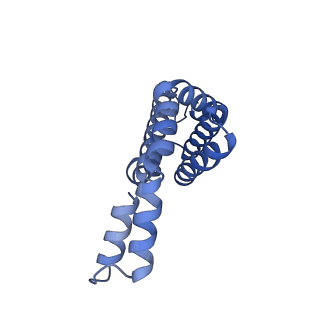 35565_8imi_n_v1-0
A1-A2, A3-A4, B'1-B'2, C'1-C'2 cylinder in cyanobacterial phycobilisome from Anthocerotibacter panamensis (Cluster A)
