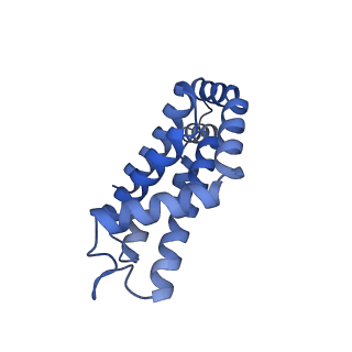 35565_8imi_o_v1-0
A1-A2, A3-A4, B'1-B'2, C'1-C'2 cylinder in cyanobacterial phycobilisome from Anthocerotibacter panamensis (Cluster A)