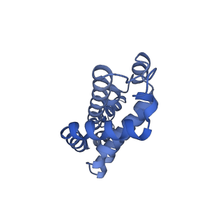 35565_8imi_p_v1-0
A1-A2, A3-A4, B'1-B'2, C'1-C'2 cylinder in cyanobacterial phycobilisome from Anthocerotibacter panamensis (Cluster A)