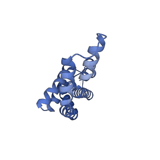 35565_8imi_q_v1-0
A1-A2, A3-A4, B'1-B'2, C'1-C'2 cylinder in cyanobacterial phycobilisome from Anthocerotibacter panamensis (Cluster A)