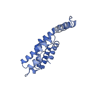 35565_8imi_r_v1-0
A1-A2, A3-A4, B'1-B'2, C'1-C'2 cylinder in cyanobacterial phycobilisome from Anthocerotibacter panamensis (Cluster A)