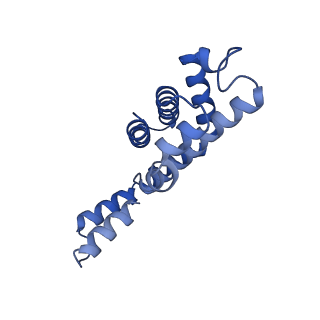 35565_8imi_s_v1-0
A1-A2, A3-A4, B'1-B'2, C'1-C'2 cylinder in cyanobacterial phycobilisome from Anthocerotibacter panamensis (Cluster A)