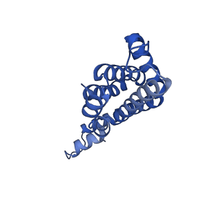 35565_8imi_t_v1-0
A1-A2, A3-A4, B'1-B'2, C'1-C'2 cylinder in cyanobacterial phycobilisome from Anthocerotibacter panamensis (Cluster A)