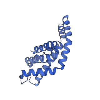35565_8imi_u_v1-0
A1-A2, A3-A4, B'1-B'2, C'1-C'2 cylinder in cyanobacterial phycobilisome from Anthocerotibacter panamensis (Cluster A)