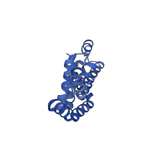 35565_8imi_v_v1-0
A1-A2, A3-A4, B'1-B'2, C'1-C'2 cylinder in cyanobacterial phycobilisome from Anthocerotibacter panamensis (Cluster A)
