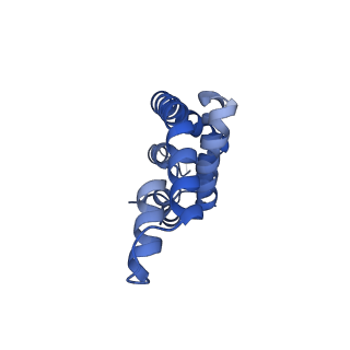 35565_8imi_w_v1-0
A1-A2, A3-A4, B'1-B'2, C'1-C'2 cylinder in cyanobacterial phycobilisome from Anthocerotibacter panamensis (Cluster A)
