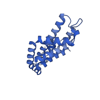 35565_8imi_x_v1-0
A1-A2, A3-A4, B'1-B'2, C'1-C'2 cylinder in cyanobacterial phycobilisome from Anthocerotibacter panamensis (Cluster A)