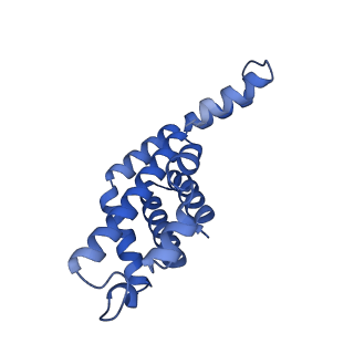 35565_8imi_y_v1-0
A1-A2, A3-A4, B'1-B'2, C'1-C'2 cylinder in cyanobacterial phycobilisome from Anthocerotibacter panamensis (Cluster A)
