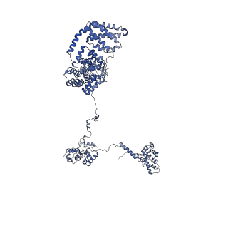 35566_8imj_0_v1-0
A'1-A'2, A'3-A'4, B1-B2, C1-C2 cylinder in cyanobacterial phycobilisome from Anthocerotibacter panamensis (Cluster B)